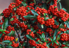 ��������ô�֣�����β���