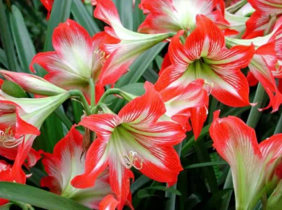 �ļ��춥�������ĸ�����Ҫ�� �춥��Ӧ����ô�޼�