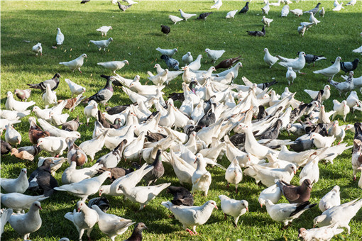 �����ֳ�ĳɱ�������