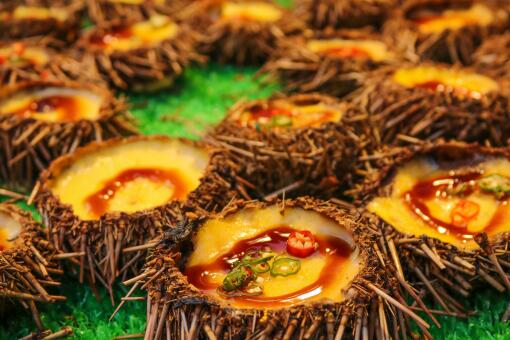 海胆价格多少钱一斤