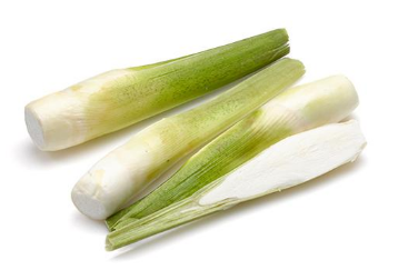 ��������ѡ���� ��ô��ֳ�ȽϺ�