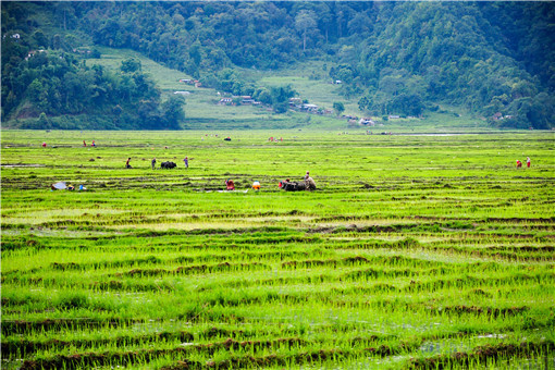 农村挣钱好项目有哪些