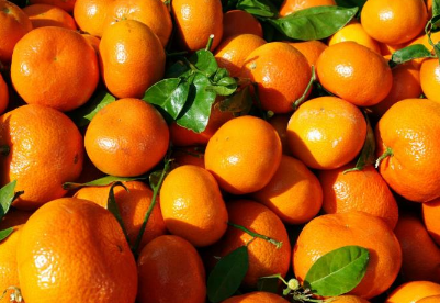 �ո���ֲʱ����ʲôʱ�� �ո���ô��ֳ