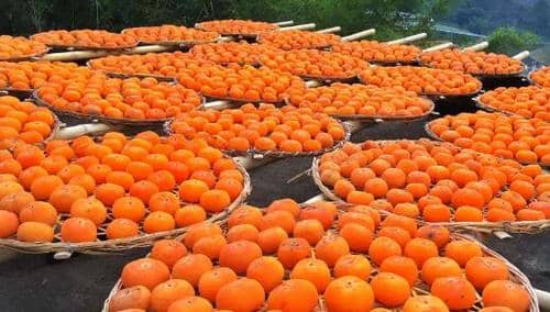 �����Ĺ�Ч������ �������ĺô�