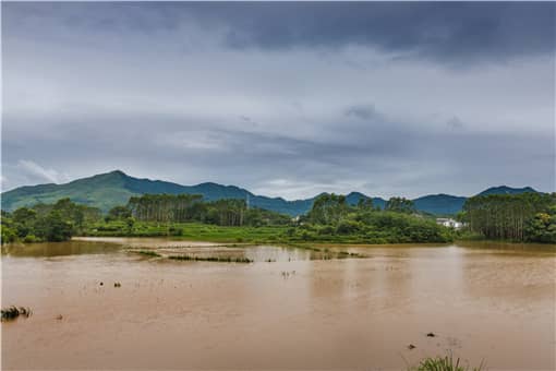 河南暴雨紧急求助通道