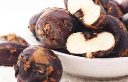 ݩ���߲���ֲ���� ݩ����ô��ֳ�ȽϺ�