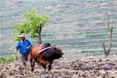 ������ض���ǮһĶ��2021���ص���������������ǮһĶ��