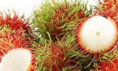 红毛丹怎么吃 红毛丹的家常食用方法方式