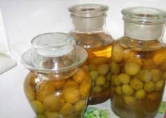 ��÷�ƵĹ�Ч�����ã�����÷�Ƶ�ҩ�ü�ֵ����