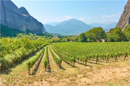 农村土地经营权流转有哪些新规定