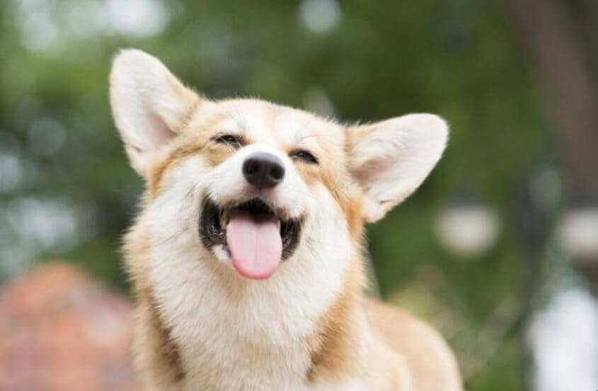 ϲŮĵЦЩ