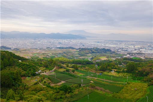 ɽʡũسаʵʩ취