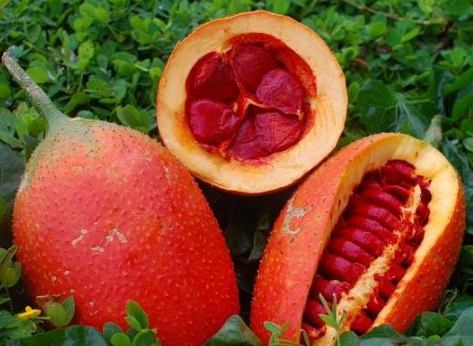 ľ���Ӫ����ֵ ��ֲ����ǰ�����