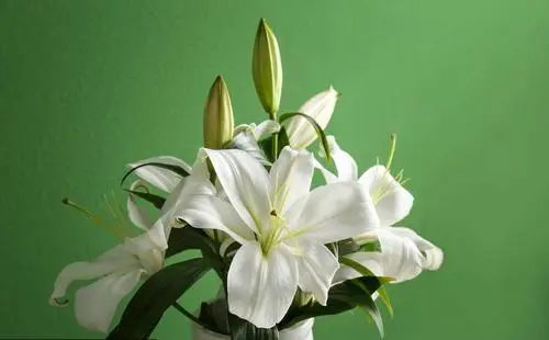 �ͻ���Ƭ��ôд������ 