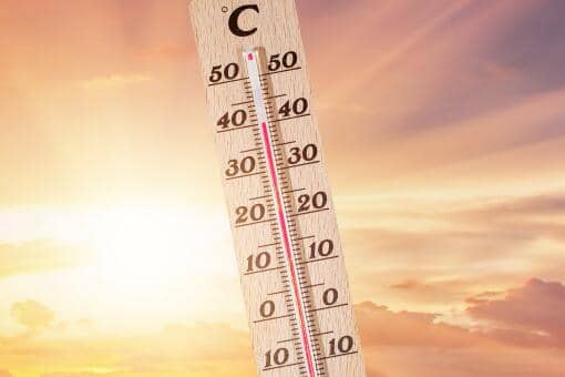 秋老虎是几月几号2021年