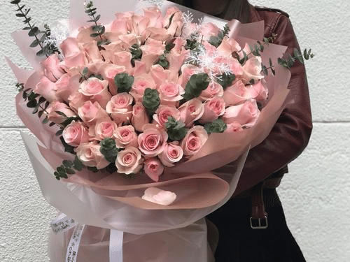 ��Ϧ����Ԥ���İ�