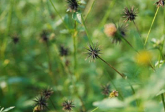 ������ж�����ʲô�˲��ʺϳԹ����