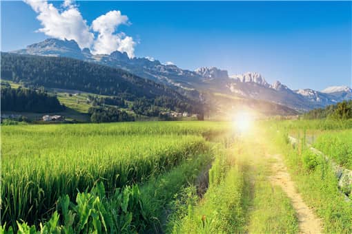 在家致富小项目