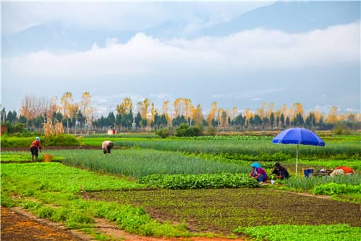土地管理法农用地转用
