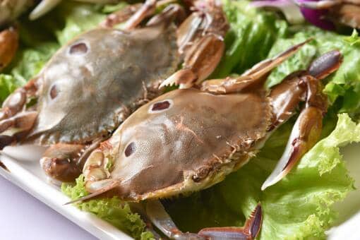 梭子蟹价格多少钱一斤2021