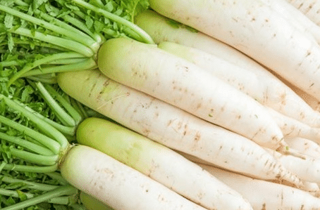 秋萝卜种植管理要点 萝卜生长注意事项