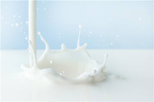 男孩喝鲜羊奶感染布鲁氏菌病