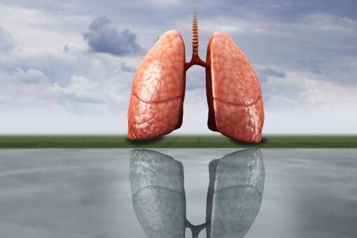 ��̿���������ഫȾ��