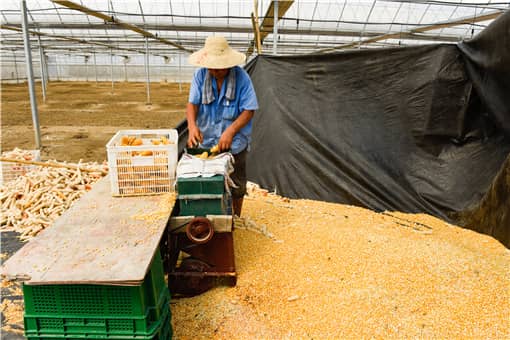 2021����·����׼۸�