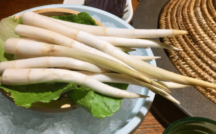 象牙菜种植技术有哪些 象牙菜怎么养殖