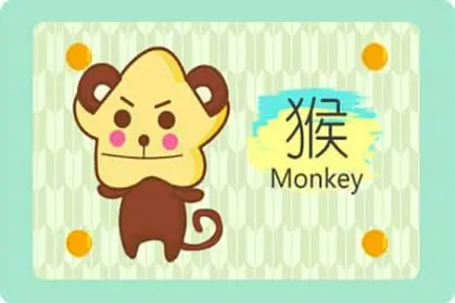 �����ĺ�����Ļ���ò���