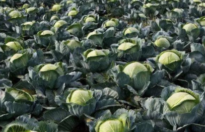 �޹������������������ ���������������