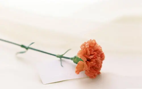 Ȧĺþ