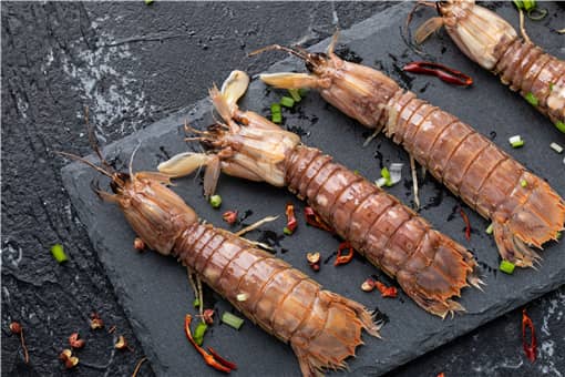 皮皮虾几月份最肥