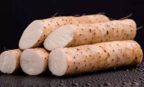 ɽҩ�߲������з��� ɽҩ��ô��ֲ