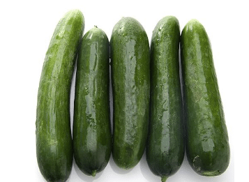 ������ƹϷ��� ��ƹ���ô����