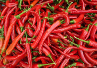 辣椒剪枝注意四点 辣椒修剪方法有哪些