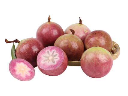 金星果的种植栽培管理 繁殖技术要点简介