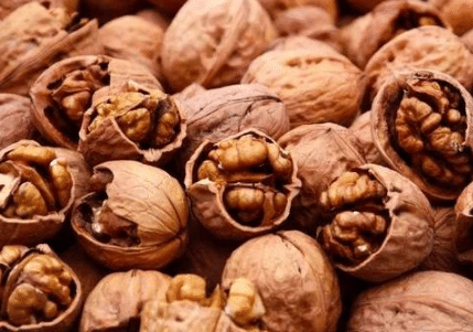 �����ļ�����ѿ�Ӽ���Ҫ�� ���Ҽ޽���Ҫע��ʲô