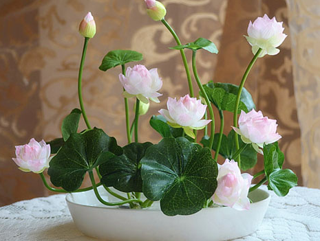 ��������һֱˮ���� �㲻֪���Ļ��о���