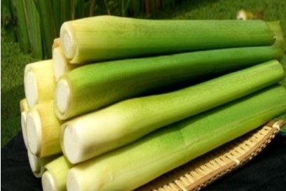 �������Լ���Ҫ�� ������ֲ��������