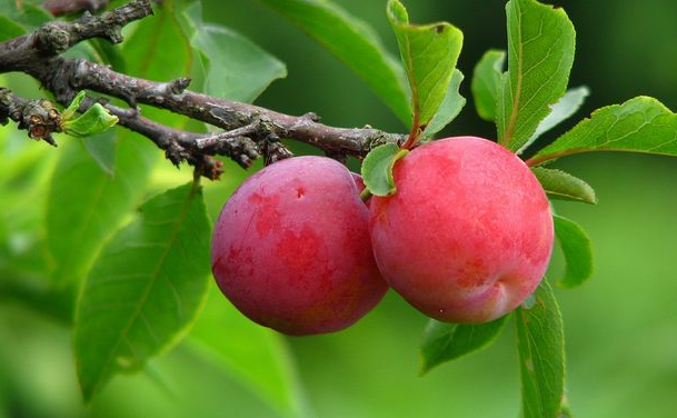 ������ʲôʱ���޼� �޼�������ʲô