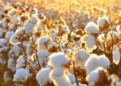 �޻�����ķ���ԭ�򣬽���������