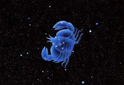 зϲʲô͵Ů