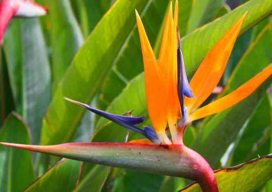 ������ſ�����ˮ���� ������ڷŽ�����ʲô