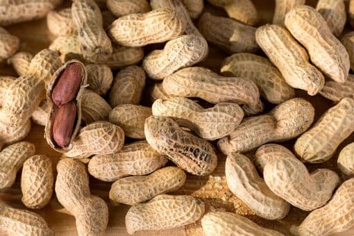 花生价格最新行情2021