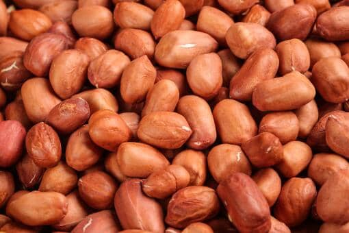 花生米价格最新行情价格