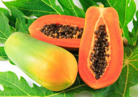 木瓜树冬季怎样管理 木瓜重要时期的种植方法技巧