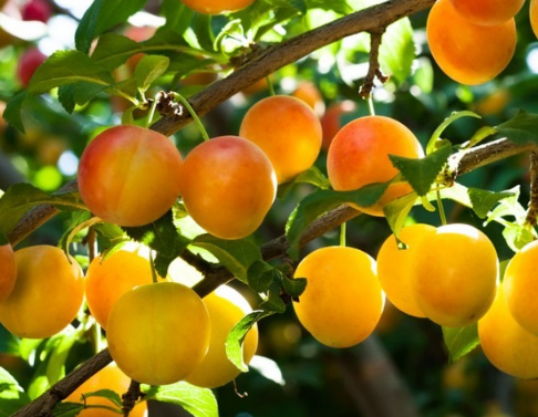 ������Ӧ����ô�޼� ��������ͬʱ���޼�����