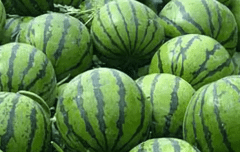ӦʲôϣЩע