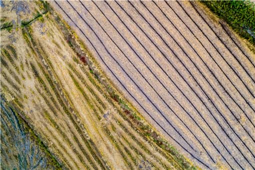 土地有偿退出最新消息